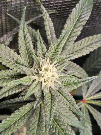 c72d7c03-f7b9-4756-8ea5-18f5cd4b0f42