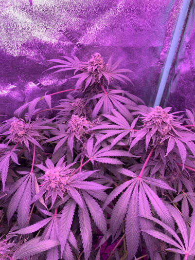 212E6C7D-4EF5-4FE3-BA58-2278764C4DD8