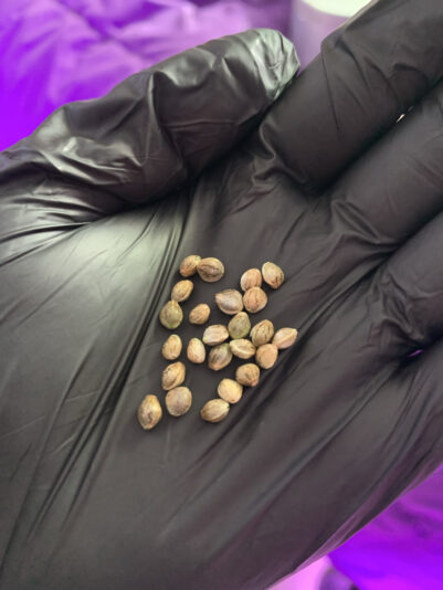 CD542360-50E2-46AE-B80F-231E3850BA4A