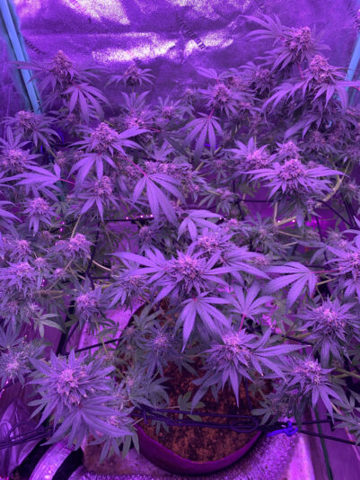 F74E6505-AB9B-4F1E-B300-72967056E8BD