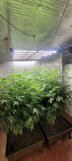 537a05aa-65b4-4a3a-bd4c-de9d292e7596