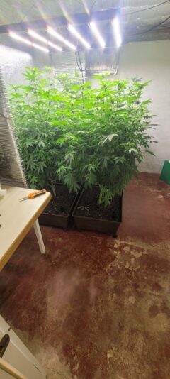 0fe4e1ac-b9ed-4428-8f54-0c61e550872d