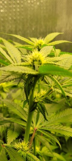 94378a2f-595f-48f0-b428-5f6adb86cfbd