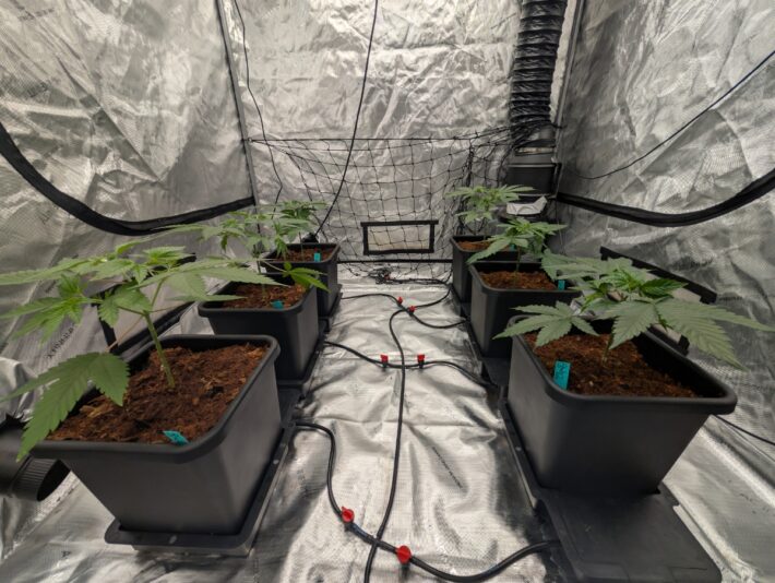 be417eed-815f-4dbb-b230-a83f3c93365e