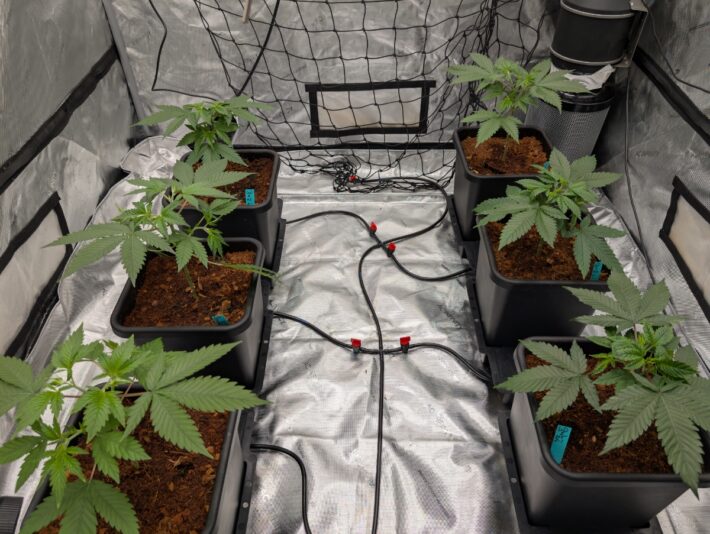 d05efe5a-8bb0-4d1e-88cd-869379148315