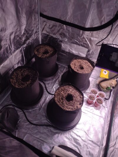 IMG_20250312_184046056