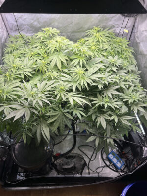 F1C977F6-8CDC-42EF-BA9C-ABAC88F3B0F5