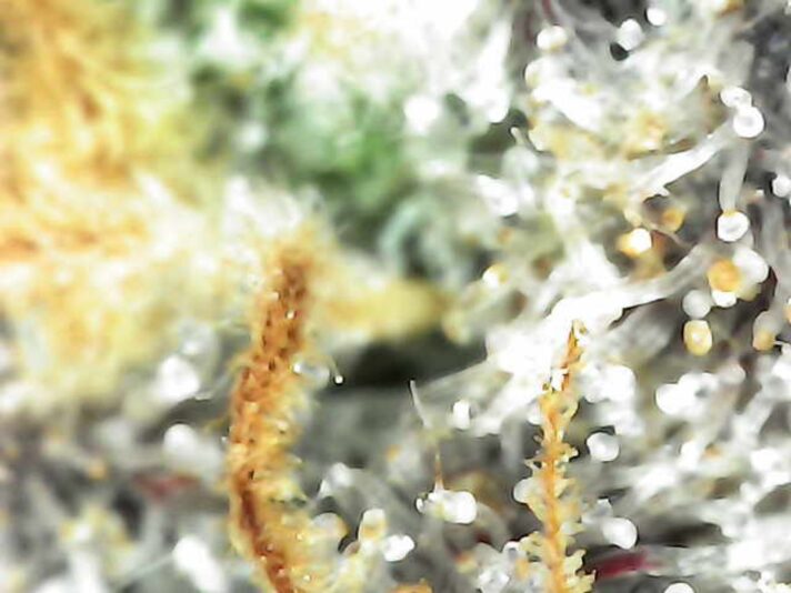 Photo_2025-03-15 17_45_23_453