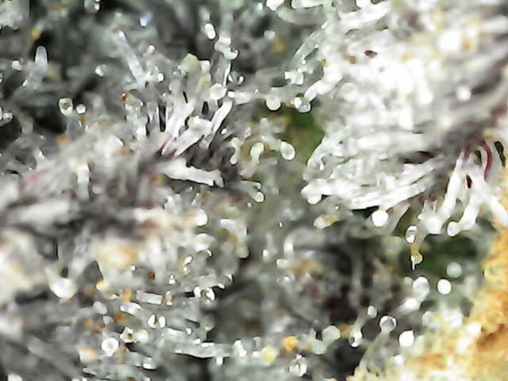 Photo_2025-03-15 03_06_41_587