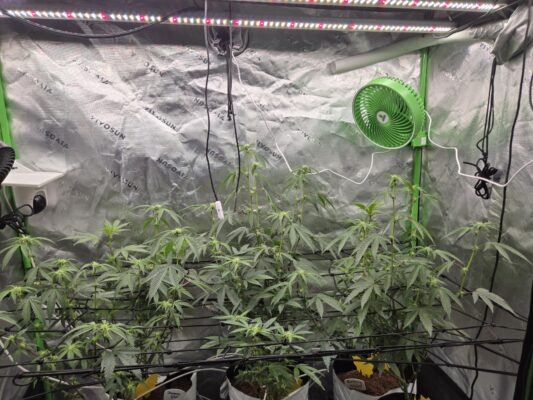 d1b77d39-19b1-420d-8c4e-dd2059d43feb