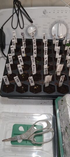 e52b2cb9-bc66-4a03-85fb-c26417aed604