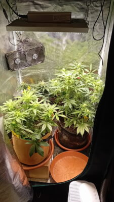 20250319_171932_resize