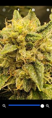 f3c4e7ea-f5a5-4b96-b5b1-b7e5d02aac9e