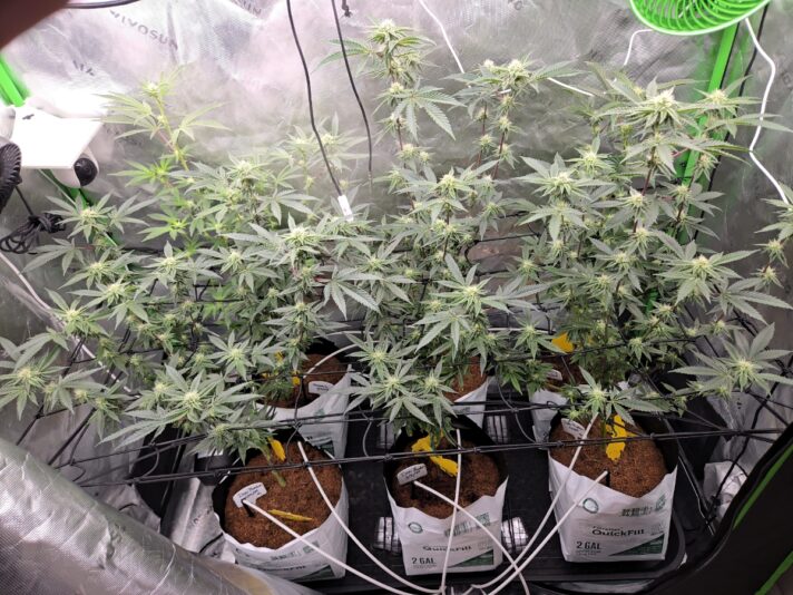 42049bc6-ab40-414f-aaa8-3ec7c72677cb