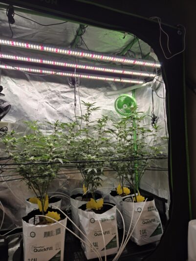 713e8d41-362e-44df-b968-ed0f823b86cd