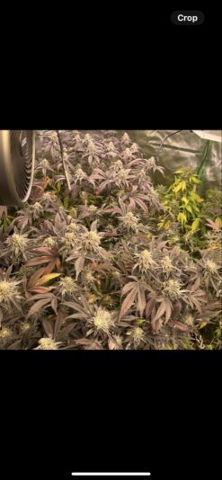 3EA7E3D1-902A-4730-BD58-A995D6628A14