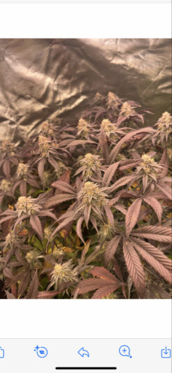 E5BE8CC6-4971-4473-8015-7A72E2AA94F7