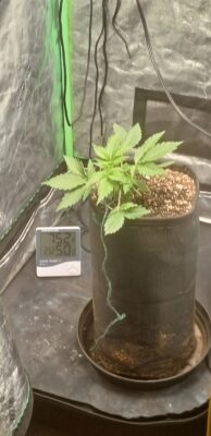 6b82d1a9-3682-4f86-87cf-5b769f155516