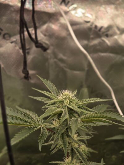 0cd40e5f-e244-4648-9f3f-5f3422748464