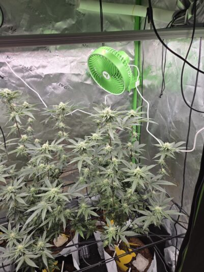 e75d9bd7-eb25-415a-89f4-44d7d3f822c8