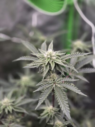 711a569e-ab60-4776-9659-fb9517bd4266