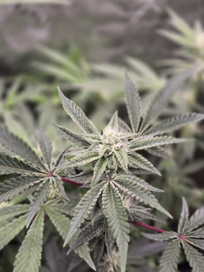 a0051170-7002-41a8-82a8-fc2df300c021