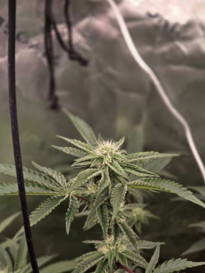 decffc85-107b-4b9e-82b0-d3aa602802ee