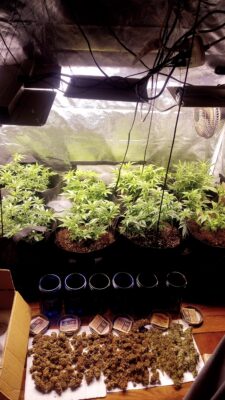 c1d61ee0-c6de-48f7-bc73-d23d3c47eb1a