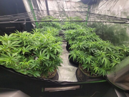 4df99e2d-f576-4f04-84fd-af9dca34c3a0