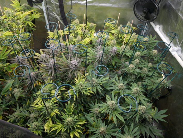 PXL_20250228_050754637