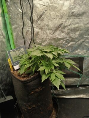 5b9ec2a3-916c-41b8-886c-684ca7a6d806