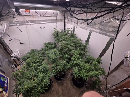 745cfad3-8ffb-4d07-8bcd-d5bb0c7160b0