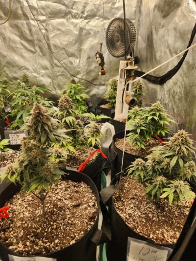 bde5cdfa-c976-4fa6-b56d-4a5583508483