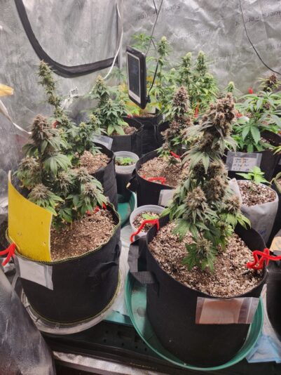 c0ab9fe1-dcd8-4cfe-a271-71163293509c