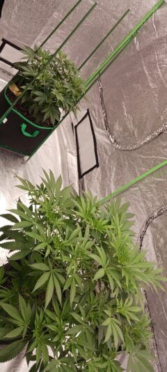 1563d104-4f55-45cd-91ac-b4c51c47ce65