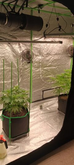 ffd3da54-d72e-4007-900f-3dd45b7cf531