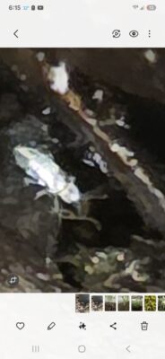 740cfece-432c-48db-b021-33c4ba56bdac