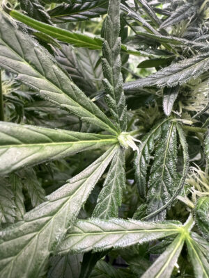 21C65A55-B44E-4544-9DE7-F742F9DD9A66