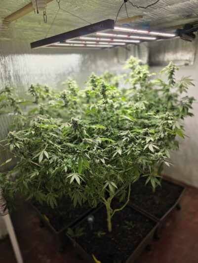 08613834-e4b4-4102-a51c-094d277e58c1