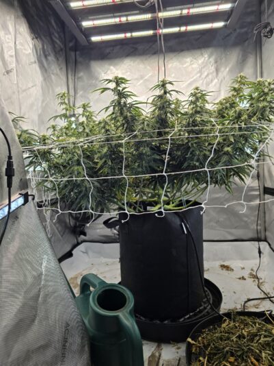 014d95b5-6d81-450a-b35d-3cf9cd409a80