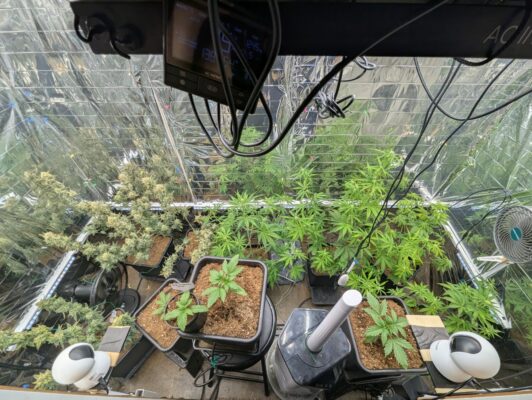 de85a01c-1e22-4de8-8399-c09a06155535