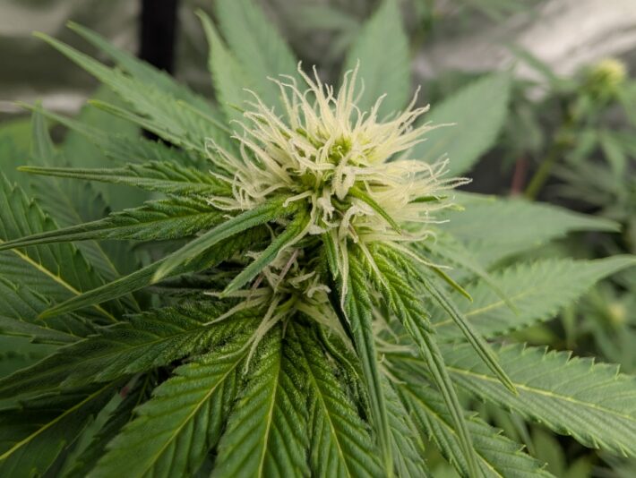 27d56d95-59f9-4cbc-8463-295a7054842a