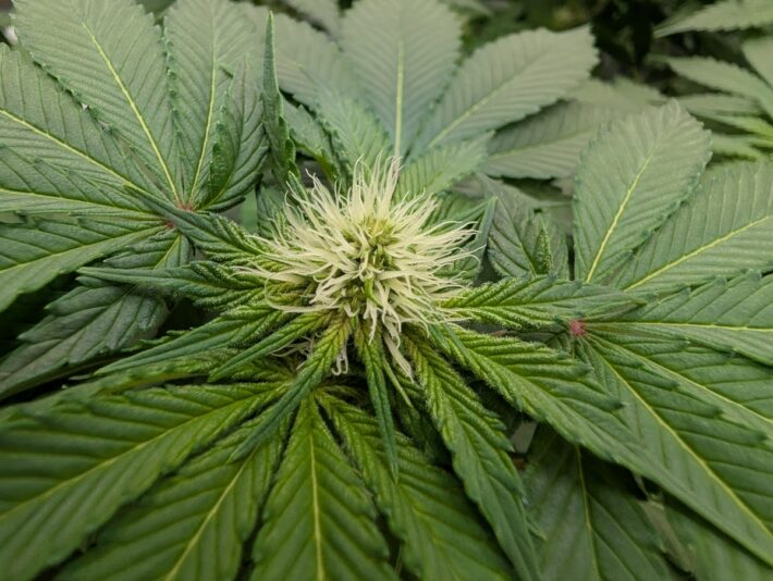 92894db1-b16d-4ac0-be4b-f0e389d8f6c1