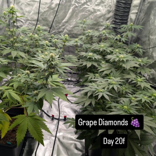 be3a7fee-e791-44ac-876a-15f6ffa0018f