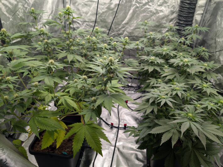 d632c059-f764-41a3-8fa8-5bb2bfeffbcf