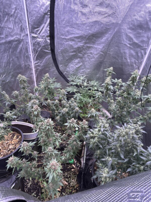 31292984-8F21-4EF4-8B2D-67A12A60E108