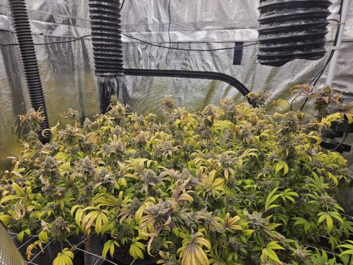 08df33e4-2908-474f-813b-e16b754db9e0