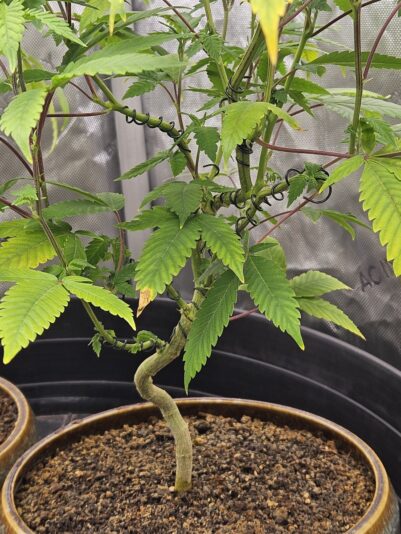 d9a04de8-0c21-43f5-8de9-2cfafe2a3057