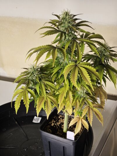 8547e80a-593c-49f2-aa5f-6df24a3d07ff