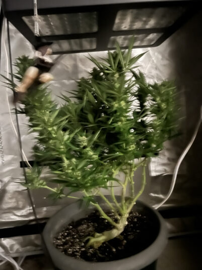 7A40AB3B-5241-4F7B-A13C-391EF84EC69A